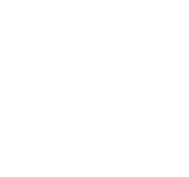 icon phone